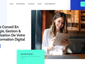 Site Vitrine Clé en Main pour une Agence Web